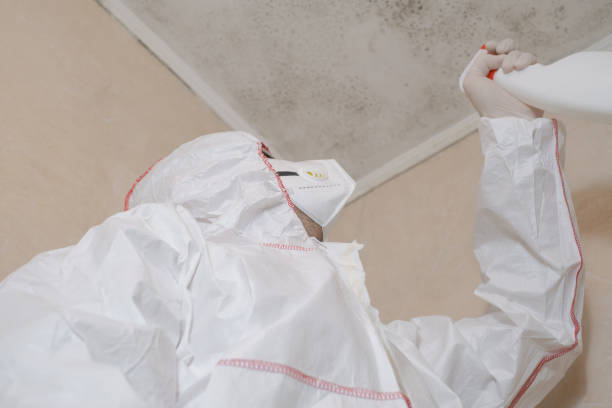 Best Mold Removal Near Me  in Pine Manor, FL