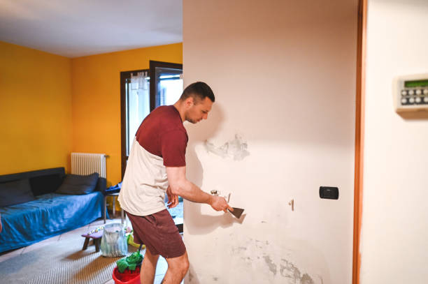 Best Water Damage Restoration  in Pine Manor, FL