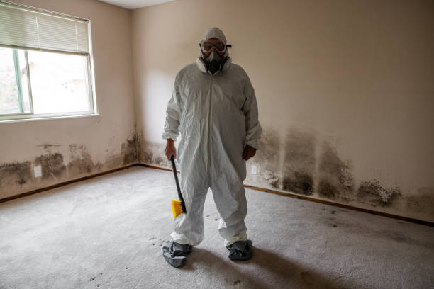 Water Damage Restoration in Pine Manor, FL